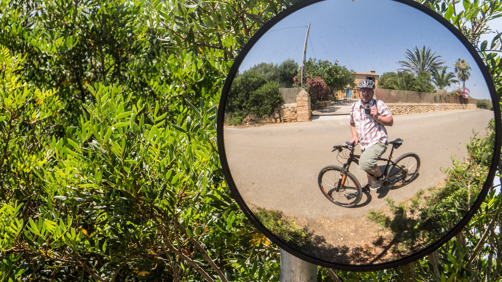20130723-Mallorca-157-Stefan-Loeser.jpg