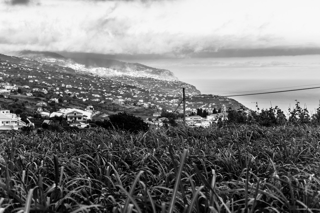 20140807-Madeira-Mono-24832-StefanLoeser.jpg