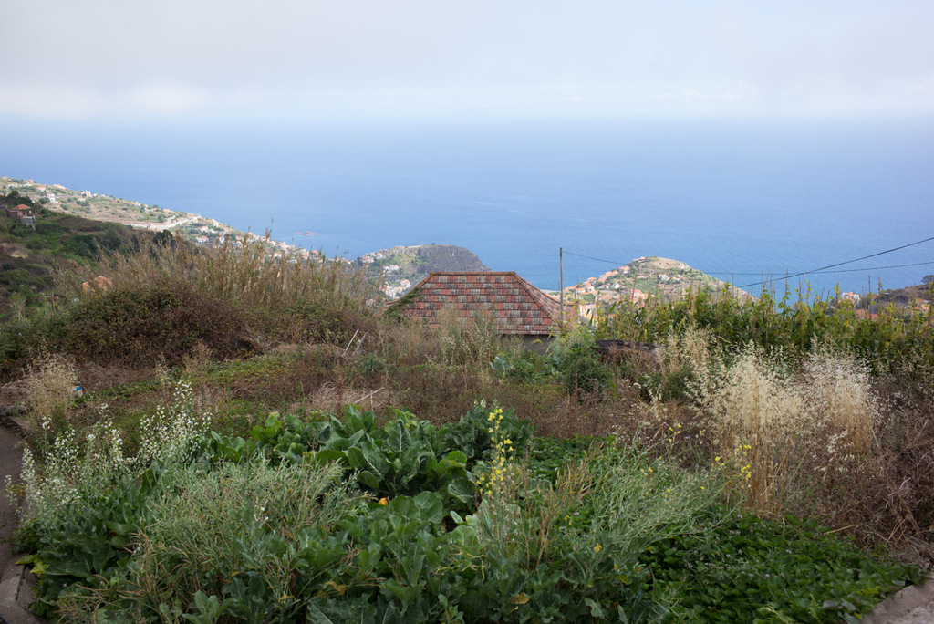 20140809-Madeira-M-25425-StefanLoeser.jpg