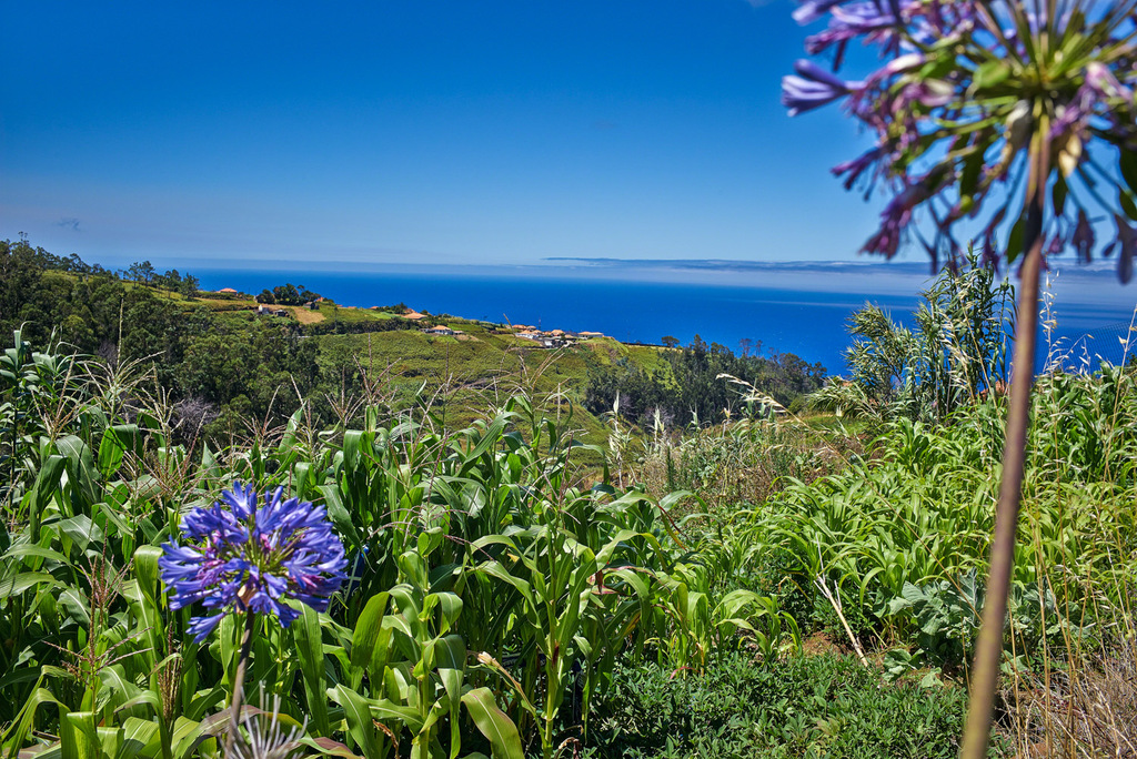 20140813-Madeira-M-070-StefanLoeser.jpg