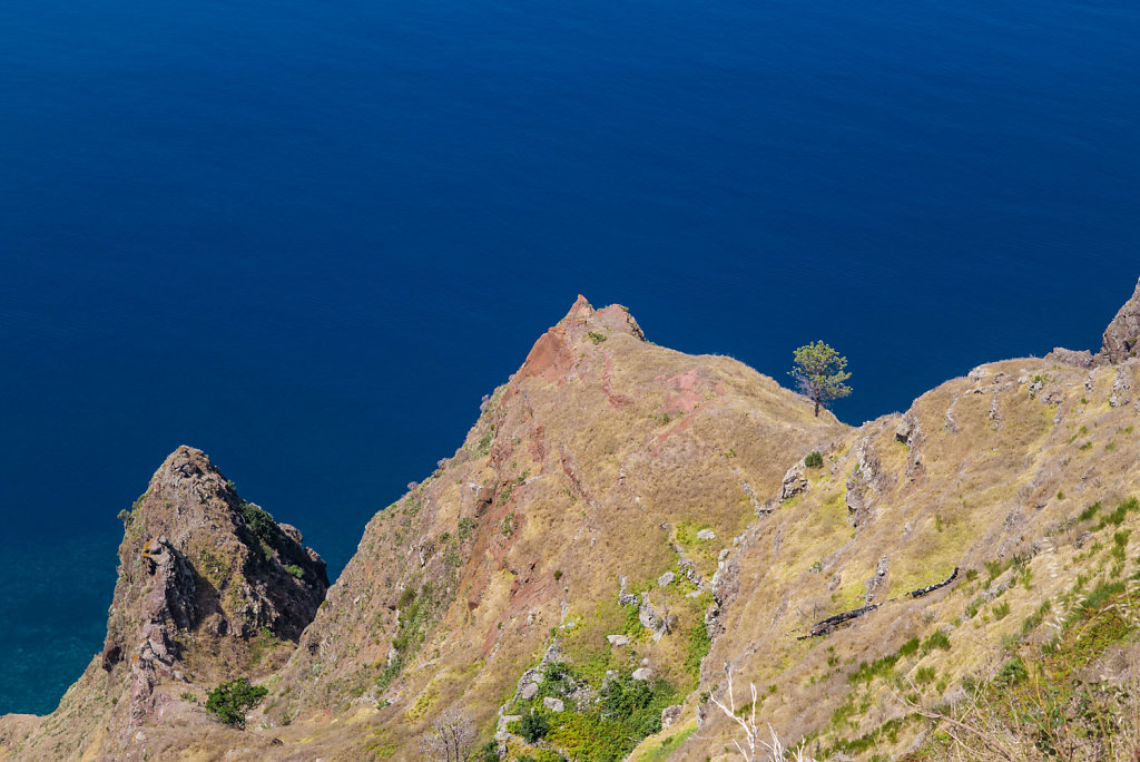 20140821-Madeira-M-27568-StefanLoeser.jpg
