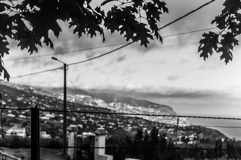 20140807-Madeira-Mono-24820-StefanLoeser.jpg